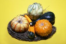 Gourds Arrangement Stock Photography Gourds Arrangement Stock Photography