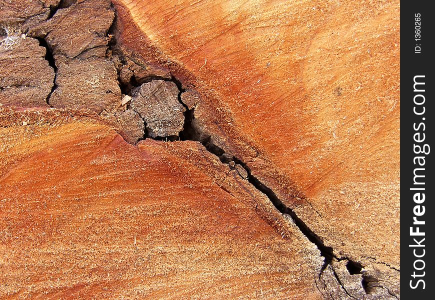 Texture of  wood with crack. Texture of  wood with crack