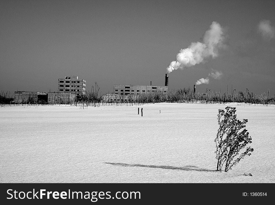 Winter, smoke factory chimney and dried plant. Winter, smoke factory chimney and dried plant.