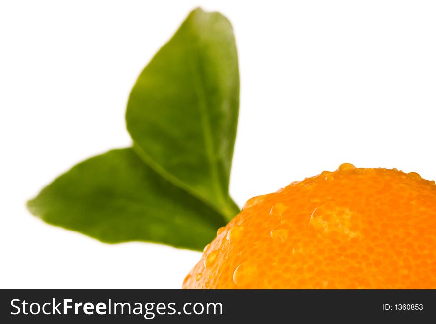 Orange fruits. calamondis. detail