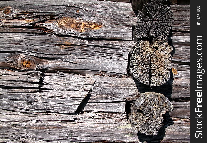 Old natural rotten wood texture
