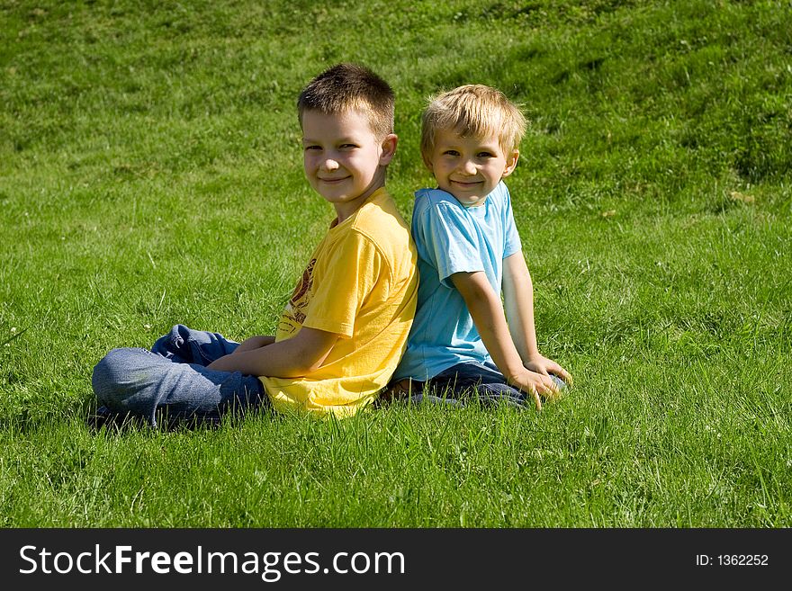 Brothers smiling on a meadow. Brothers smiling on a meadow