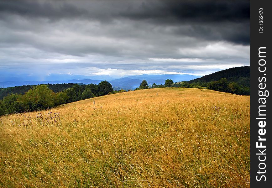 Idilic landscape with sunset on horizont and nice wild nature