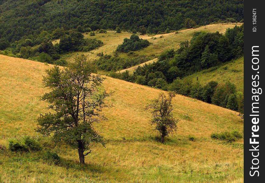 Idilic landscape with sunset on horizont and nice wild nature