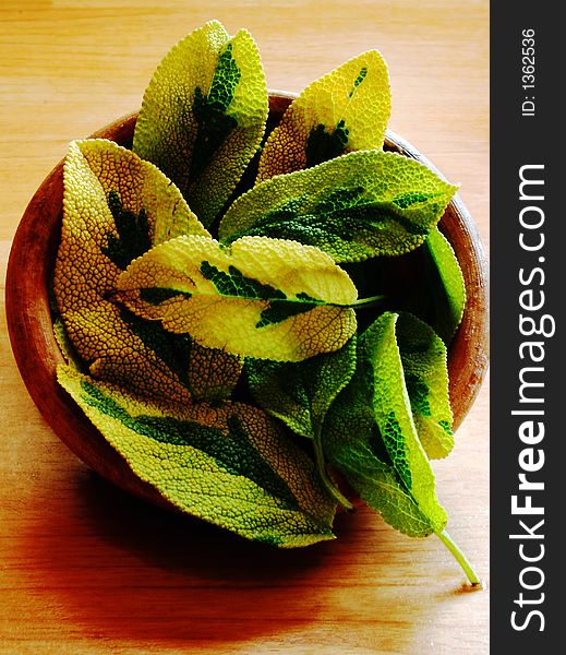 Sage leaves in a wooden bowl. Sage leaves in a wooden bowl