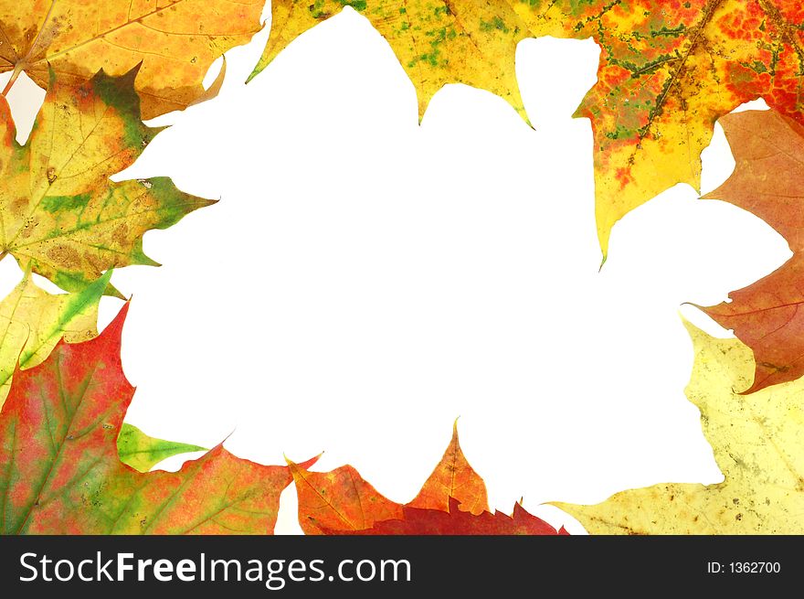 Colourful autumn frame with space for text. Colourful autumn frame with space for text