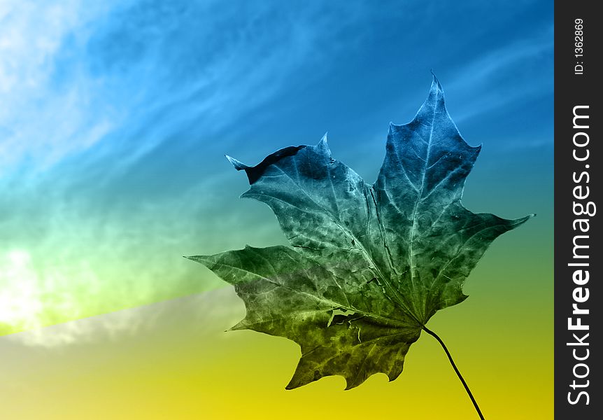 Decaying leaf against sky background with color overlay