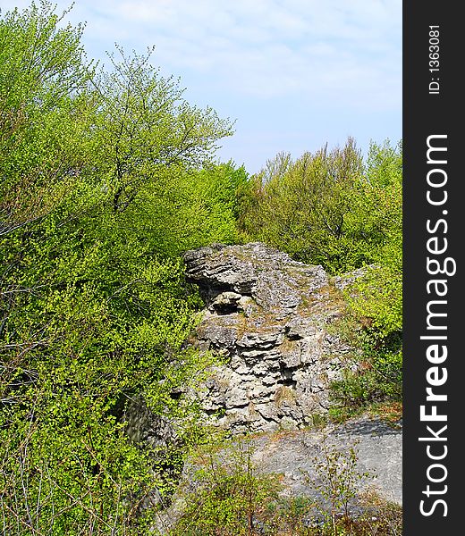 Lonely rock surrounded by crowns of high trees. Lonely rock surrounded by crowns of high trees