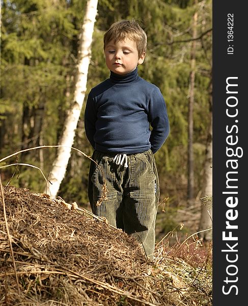 Three-year-old boy looking at an ant-hill. Three-year-old boy looking at an ant-hill