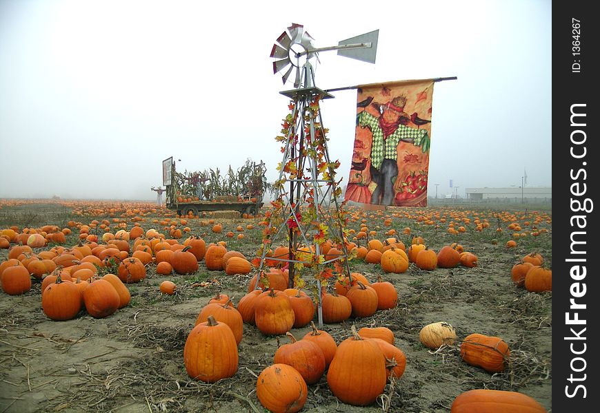 Old windmill in a field of pumpkins. Old windmill in a field of pumpkins.