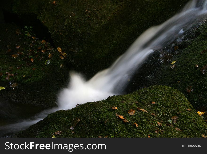 Fast forest stream in autumn