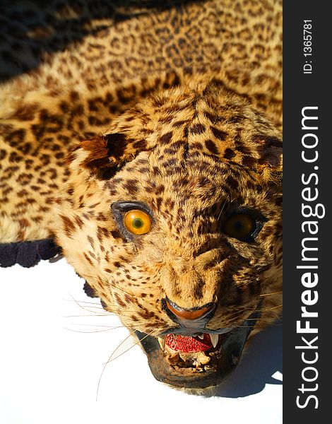Leopard Skin Rug 1