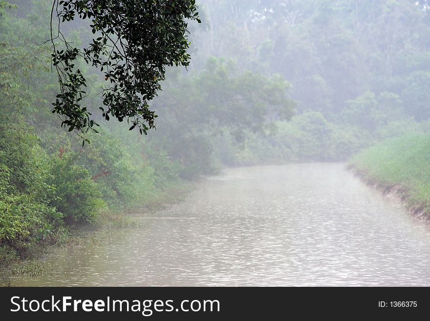 A misty scenery near a river.