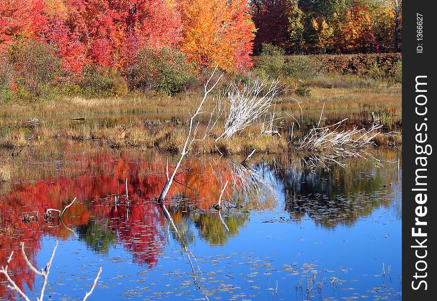 Autumn Lake Reflection