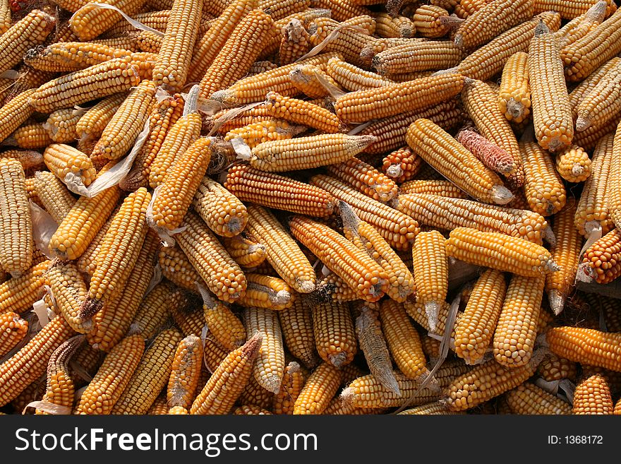 Corn Cobs