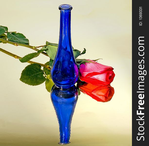Blue vase, red rose, on gold mirrored background. Blue vase, red rose, on gold mirrored background