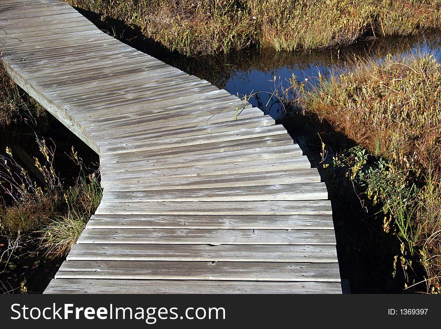 Boardwalk abstract in a marsh in Ontario