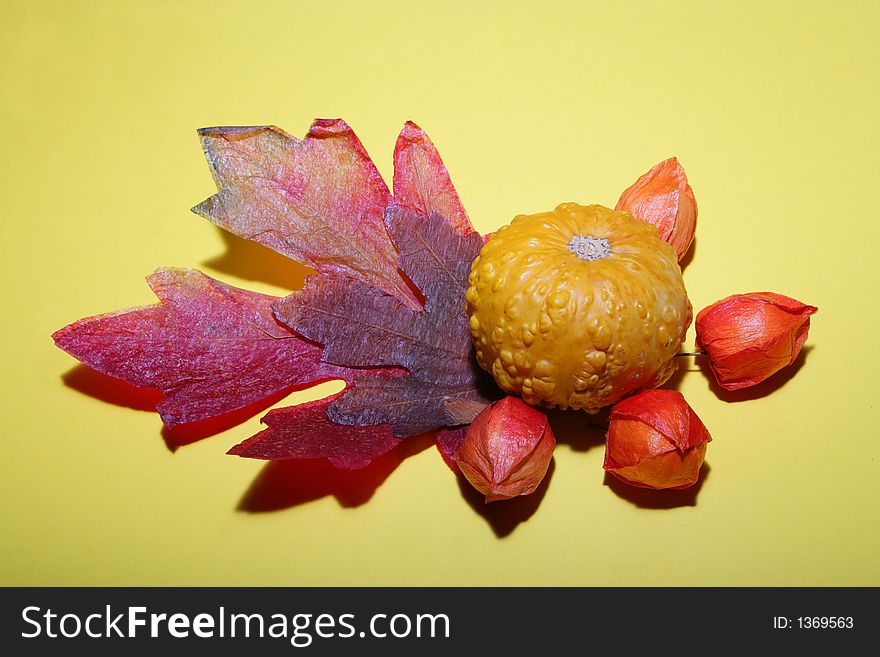 Pumpkin on maple leaves with some physalis fruits on a yellow background. Pumpkin on maple leaves with some physalis fruits on a yellow background.