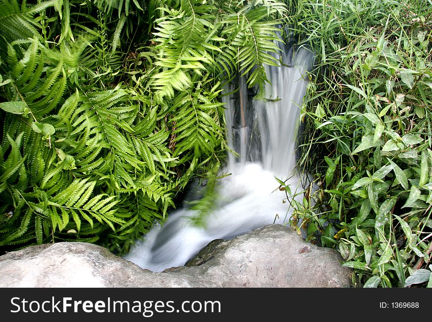 Small waterfall in green grass. Small waterfall in green grass