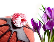 Crocus And Cake Stock Photos Crocus And Cake Stock Photos