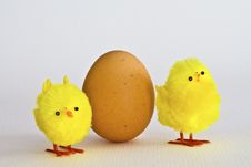 Egg With Chicks Stock Photo