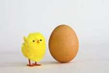 Egg With Chicks Stock Photos