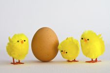 Egg With Chicks Stock Photography