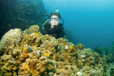 Scuba Diver With Colorful Coral Royalty Free Stock Images Scuba Diver With Colorful Coral Royalty Free Stock Images