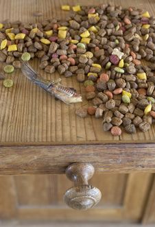 Food For Cat. Stock Images Food For Cat. Stock Images