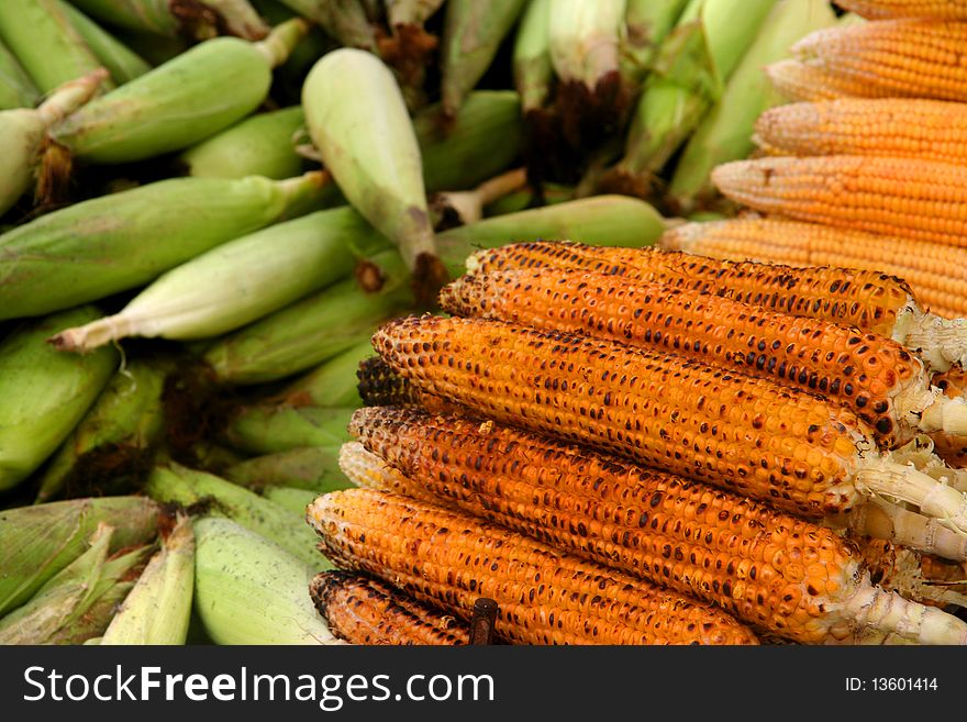 Fresh corn peeled corn and grilled corn