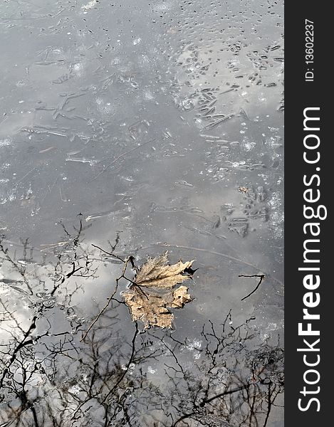 Lake in  spring. Old autumn leaf on thin spring ice. Sky reflexion in ice thawed patches