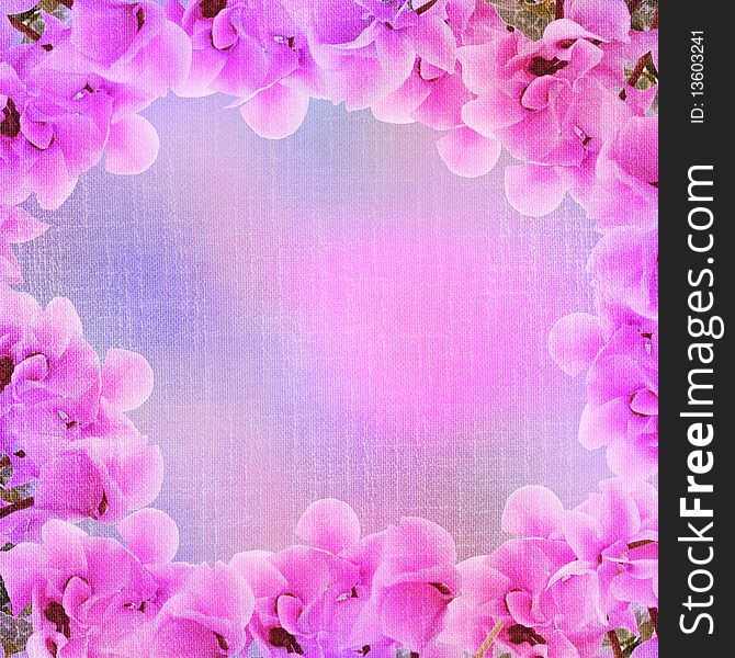 Floral Frame - Pink Hyacinth