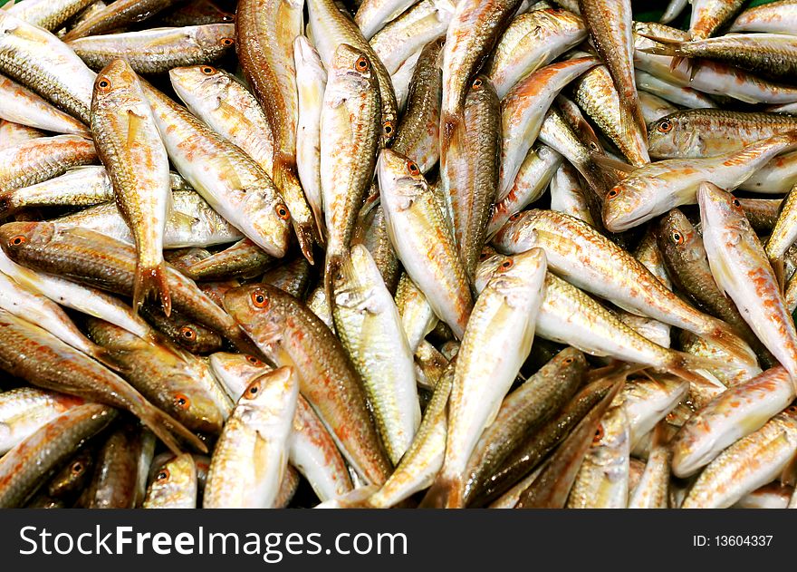 Red Mullets in the fish market