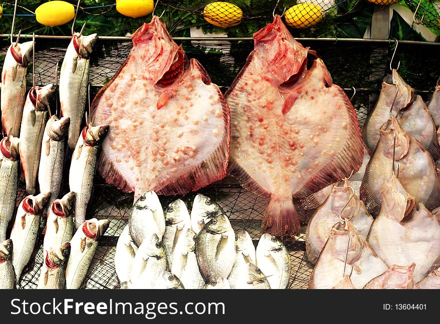 Variety of fishes in the market. Variety of fishes in the market