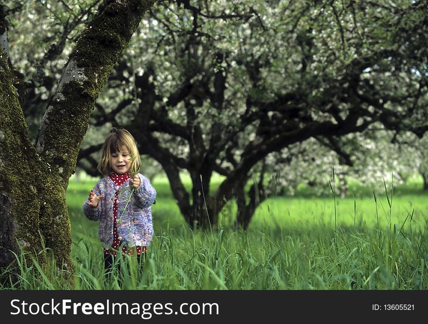 Little Girl In An Orchard