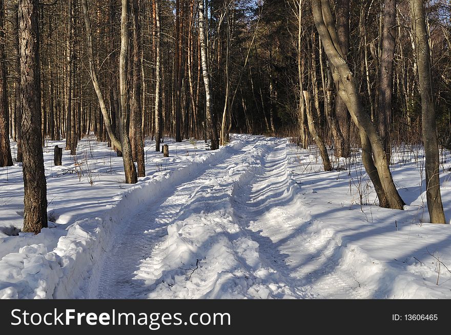 Winter earth rut under snow in coniferous forest, Russia. Winter earth rut under snow in coniferous forest, Russia