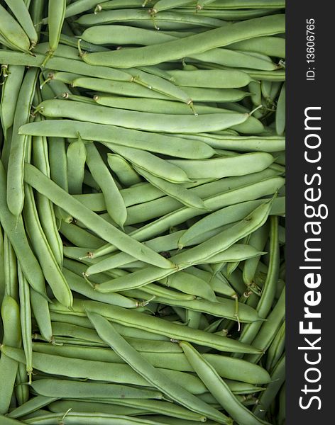 A collection green bean vegetable also known in some countris as loubia. A collection green bean vegetable also known in some countris as loubia