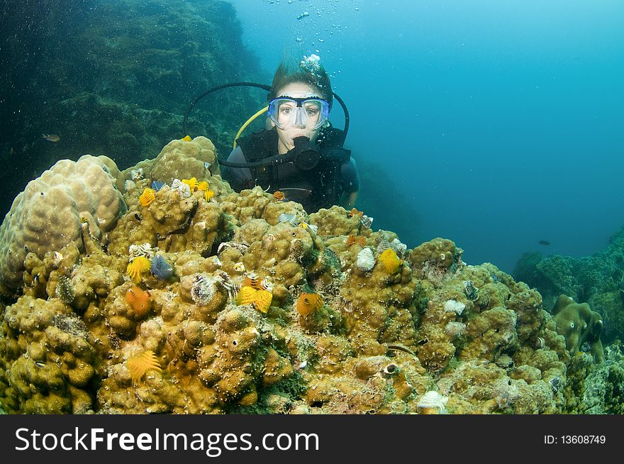 Scuba diver with colorful coral in front