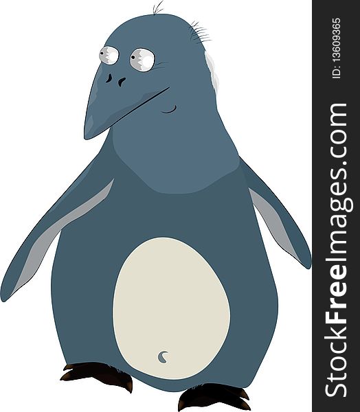 Penguin arctic beak bird black caricature