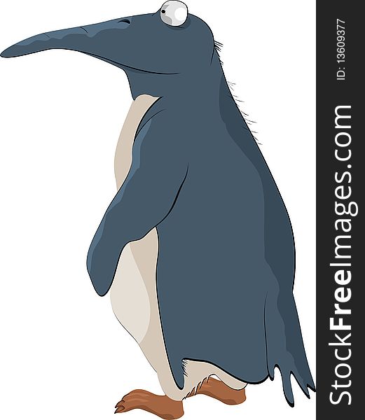 Penguin antarctica arctic beak bird black