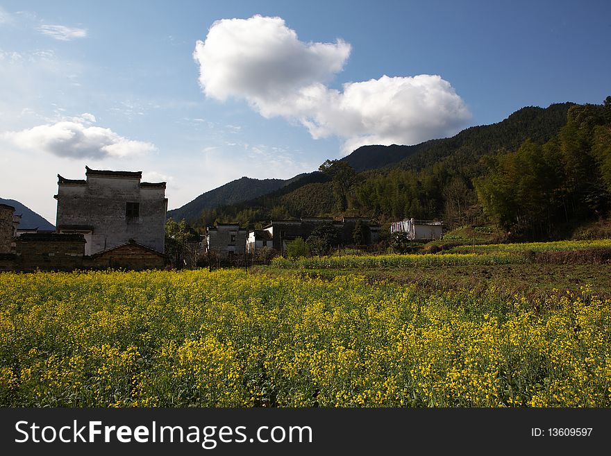 The beautiful scene in the farmland