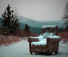 Free Armchair In The Middle Of The Woods. Stock Photos - 136030953