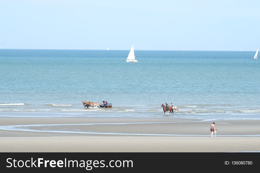 Sea, Body Of Water, Coastal And Oceanic Landforms, Beach