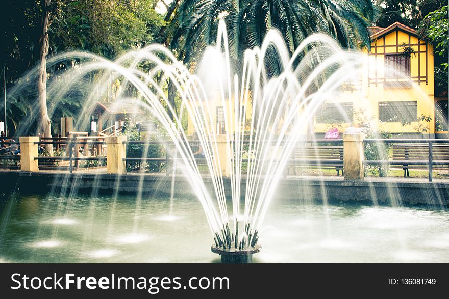 Water, Fountain, Water Feature, Tree