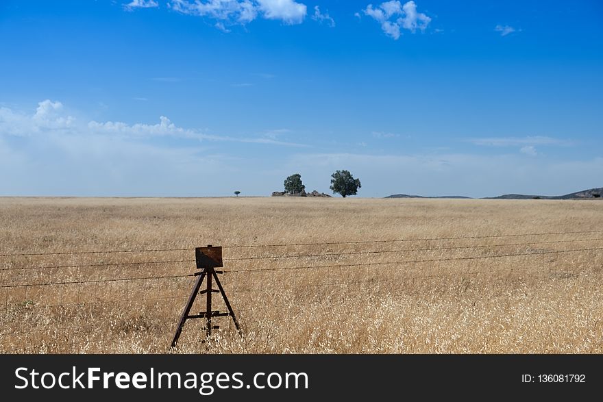 Grassland, Prairie, Ecosystem, Sky