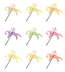 The Collection Of Lilies Stock Image The Collection Of Lilies Stock Image