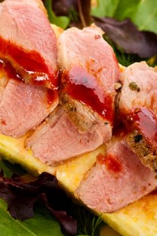 Rare Duck With Spicy Cranberry Sauce Stock Photography