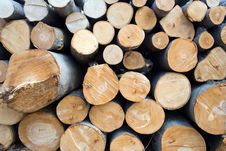 Pile Of Wooden Logs In Deforestation Area Texture Stock Image Pile Of Wooden Logs In Deforestation Area Texture Stock Image