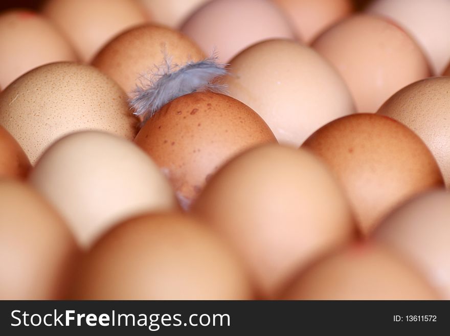 Close up of the brown fresh eggs