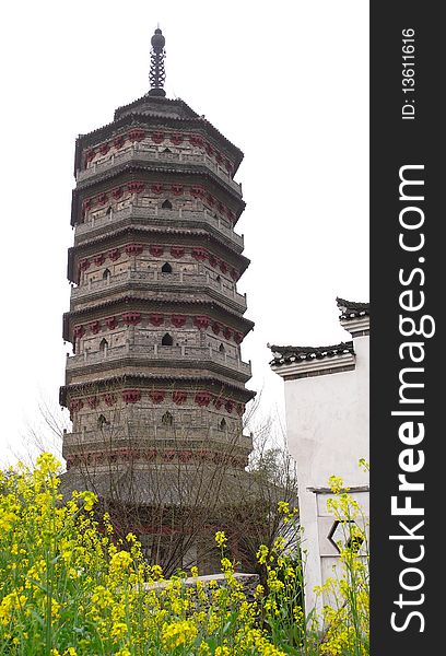 Ancient pagoda with rapeseed blossom in Anhui,China